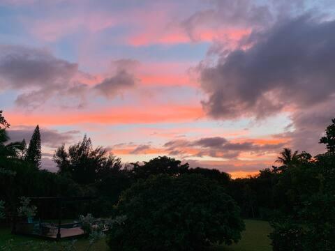 North Shore Garden Suite Haleiwa Εξωτερικό φωτογραφία